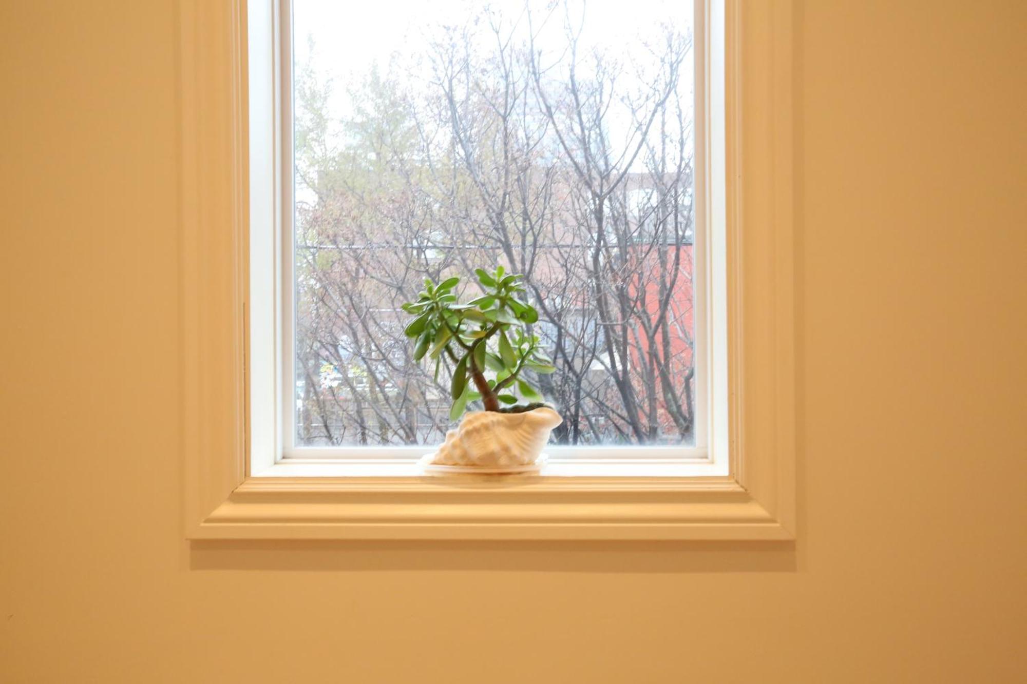 Bed and Breakfast Xiao Wang Toronto Exterior foto